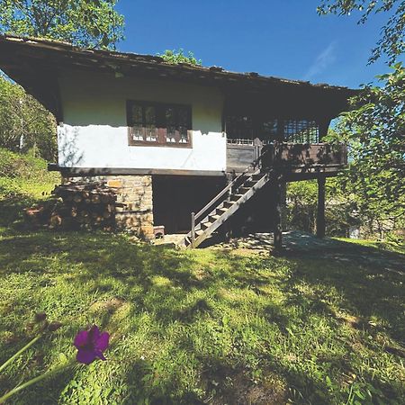 Guest house Cana Mihova Bozhentsi Extérieur photo